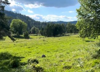 Продажа участка, 40 сот., село Усть-Пыжа, Центральная улица