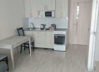 Сдается квартира студия, 25 м2, Мурино, Екатерининская улица, 14, ЖК Три кита