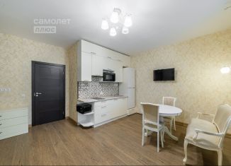 Квартира на продажу студия, 25.3 м2, Санкт-Петербург, Арцеуловская аллея, 23к2, ЖК Чистое Небо