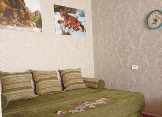 Сдается 1-ком. квартира, 30 м2, Новосибирск, Флотская улица, 23, метро Заельцовская