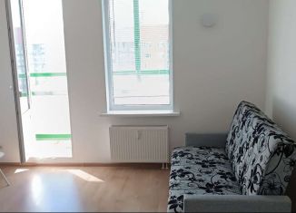 Аренда квартиры студии, 25 м2, Мурино, улица Шувалова, 27/7, ЖК Гринландия-2