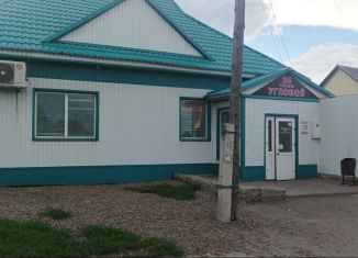 Продам торговую площадь, 135 м2, Алейск, улица Давыдова, 92