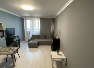 Сдам в аренду квартиру студию, 26 м2, Мурино, проспект Авиаторов Балтики, ЖК Девятый вал