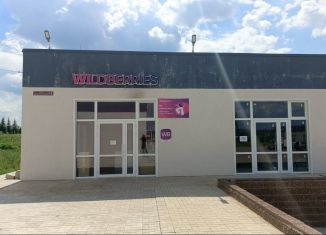 Продажа торговой площади, 54 м2, село Акбердино, Юбилейная улица, 2Б