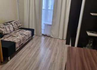 Сдам в аренду квартиру студию, 23 м2, Воронеж, набережная Максима Горького, 49Б, Центральный район