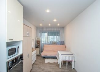 Квартира на продажу студия, 23.7 м2, Шелехов, 3-й микрорайон, 17/3