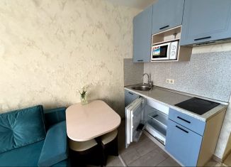 Продается квартира студия, 16.7 м2, рабочий посёлок Лопатино, Сухановская улица, 21, ЖК Государев Дом