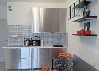 Сдаю в аренду квартиру студию, 27 м2, Мурино, Воронцовский бульвар, 22, ЖК Гринландия-2