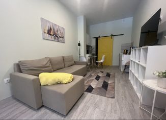 Сдается квартира студия, 32 м2, Петергоф, Фабричная улица, 3