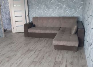 Сдам в аренду однокомнатную квартиру, 38 м2, Бийск, Ударная улица, 88/3