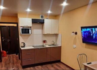 Сдаю квартиру студию, 25 м2, Мурино, Охтинская аллея, 10к1, ЖК Девятый вал