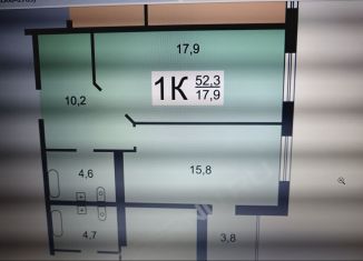 Сдам в аренду 1-ком. квартиру, 52.3 м2, Нижний Новгород, улица Тимирязева, 35, метро Горьковская