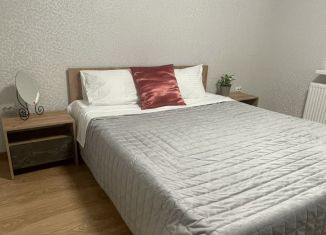 Дом в аренду, 50 м2, Ессентуки, улица Анджиевского