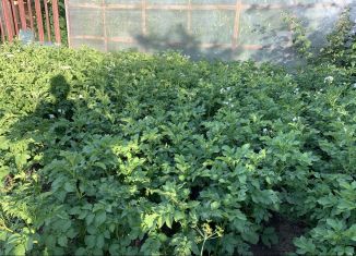 Участок на продажу, 400 сот., Йошкар-Ола, Коммунальная улица, 1