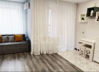 Сдается в аренду квартира студия, 23.8 м2, Тюмень, улица Михаила Сперанского, 33/1, ЖК Видный