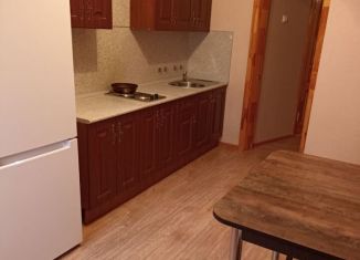 Сдается 1-комнатная квартира, 45 м2, Воронеж, улица Академика Конопатова, ЖК Спутник