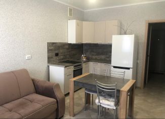 1-комнатная квартира в аренду, 43 м2, Краснодар, Душистая улица, 50, микрорайон Молодёжный