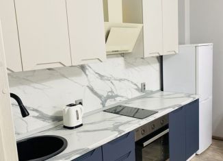 Аренда однокомнатной квартиры, 40 м2, Челябинск, проспект Героя России Е.Н. Родионова, 17, ЖК Ньютон