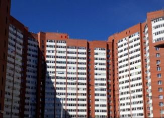 Сдам 1-комнатную квартиру, 40 м2, Пермь, Холмогорская улица, 4Г, ЖК Авиатор