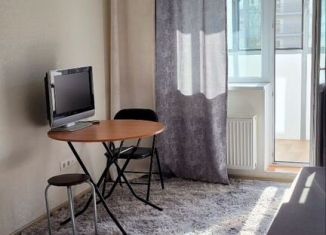 Сдаю в аренду квартиру студию, 28 м2, Мурино, улица Шувалова, 17, ЖК Краски Лета