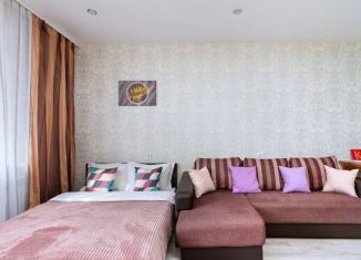 Сдаю 1-ком. квартиру, 40 м2, Новосибирск, улица Гоголя, 26