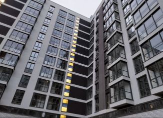 Продам 1-ком. квартиру, 41.5 м2, Санкт-Петербург, проспект Энгельса, 29, Выборгский район