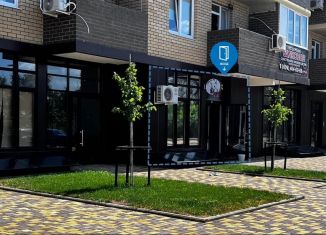 Торговая площадь на продажу, 43.7 м2, Краснодар, Дубравная улица, 1, микрорайон Молодёжный