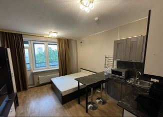 Аренда квартиры студии, 30 м2, Мытищи, 1-й Щёлковский проезд, 7, ЖК Отрадный