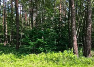 Продажа участка, 12.5 сот., деревня Раздоры