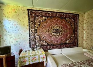 Продается 1-ком. квартира, 23.2 м2, деревня Бородино, деревня Бородино, 4