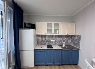 Продам квартиру студию, 25 м2, Мурино, улица Шувалова, 20к1, ЖК Территория