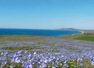 Продажа земельного участка, 25 сот., Крым, 35Н-323