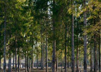 Продам участок, 7.5 сот., деревня Пятница, деревня Пятница, 2