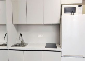 Продаю квартиру студию, 16 м2, Москва, улица Недорубова, 20к1, метро Некрасовка