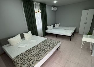 Аренда однокомнатной квартиры, 30 м2, поселок городского типа Заозерное, Октябрьская улица, 10