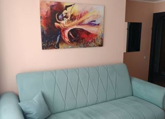 Сдаю 1-ком. квартиру, 30 м2, Республика Башкортостан, улица Василия Горшкова, 3