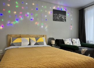 Сдаю однокомнатную квартиру, 28 м2, Республика Башкортостан, улица Цюрупы, 108/1