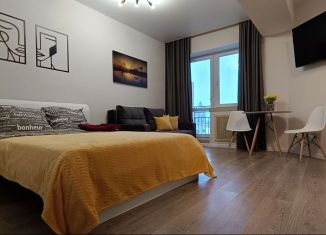 Сдаю в аренду квартиру студию, 27 м2, Архангельск, проспект Ломоносова, 98