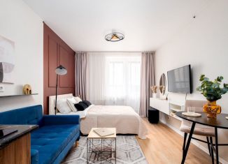 Сдается в аренду квартира студия, 25.5 м2, Колпино, Загородная улица, 45к4