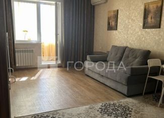 Аренда квартиры студии, 38 м2, Новосибирск, Оловозаводская улица, 15, ЖК Черёмушки