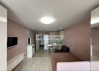 Продается квартира студия, 26.3 м2, городской посёлок Янино-1, Голландская улица, 6, ЖК Новое Янино
