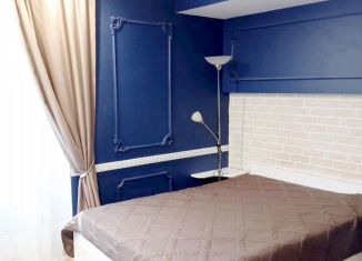 Сдается 1-ком. квартира, 32 м2, Санкт-Петербург, улица Беринга, 24к2