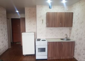 Аренда квартиры студии, 23.6 м2, Шелехов, 3-й микрорайон, 21