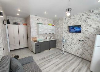 Продается квартира студия, 18.1 м2, Чебоксары, улица Ашмарина, 34А