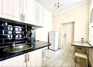 Продам 1-ком. квартиру, 20 м2, Ростов-на-Дону, Большая Садовая улица, 144/48