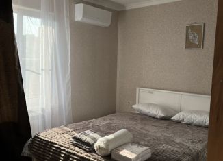 Квартира в аренду студия, 35 м2, Сочи, Фабричная улица, 21, микрорайон Голубые Дали