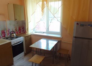 Однокомнатная квартира в аренду, 35 м2, Ревда, улица Мичурина, 46