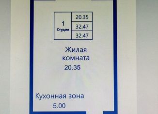 Продается квартира студия, 32.6 м2, Новосибирск, Октябрьский район, улица Татьяны Снежиной, 25