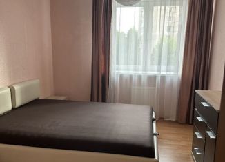 Аренда 2-ком. квартиры, 58 м2, Санкт-Петербург, проспект Космонавтов, 23к3, метро Парк Победы