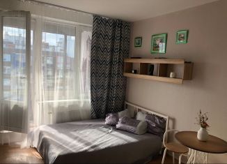 Сдам в аренду квартиру студию, 25 м2, Кудрово, Столичная улица, 5к2